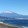 富士山！の画像