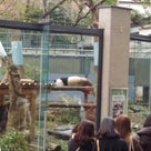 上野動物園に行ってきました(2018.2)の記事より