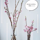 ひな祭りの桃の枝♪花瓶に活ける時のコツは〇〇！桃の節句に飾りたい花♡の記事より