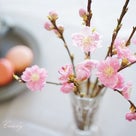 ひな祭りの桃の枝♪花瓶に活ける時のコツは〇〇！桃の節句に飾りたい花♡の記事より