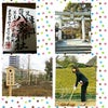 織姫神社から八雲神社へ(*^^*)の画像