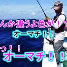 10月15日慶良間船釣り[幻のクロバニー含むアカジンミーバイ３発！！]翁長さま御一行♪の記事より
