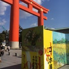 『ゴッホ展～巡りゆく日本の夢～』の観覧に行って来ました。＃京都国立近代美術館 #ゴッホ展の記事より