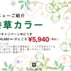 五井店の３月は髪に優しい「香草カラー」キャンペーンの画像