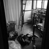 【整理収納サポート】高校生の娘さんのお部屋のお片づけ…続きの画像