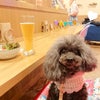 土曜の夜カフェ。の画像
