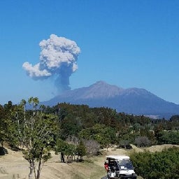 画像 宮崎にて。 の記事より