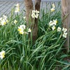 一位でした♪の画像