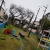雨の画像