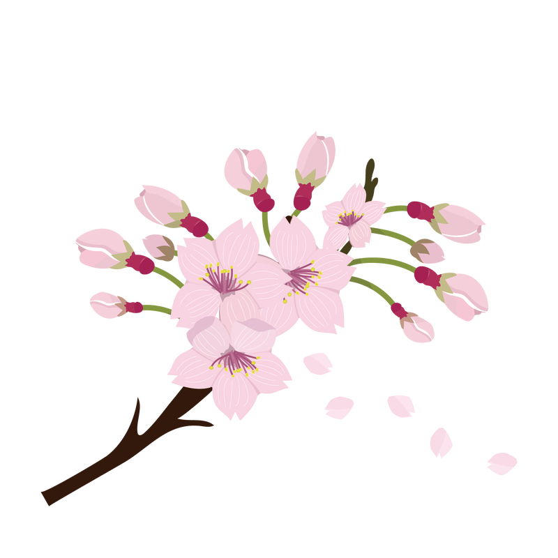 かわいい おしゃれ 桜のイラスト まとめ １０選 Illustmansionのブログ