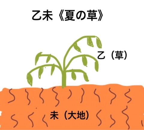 乙酉 乙未 を持つ人の特徴 福岡 算命学 色彩心理 カウンセラー Komari