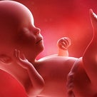 胎児と胎話できるようになる方法♪～しあわせなお産をしたい妊婦さんへ～の記事より