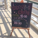 ◆長野市稲葉中千田【キャッツカフェ】リニューアルオープン後、初来店！！(=^・^=)の記事より