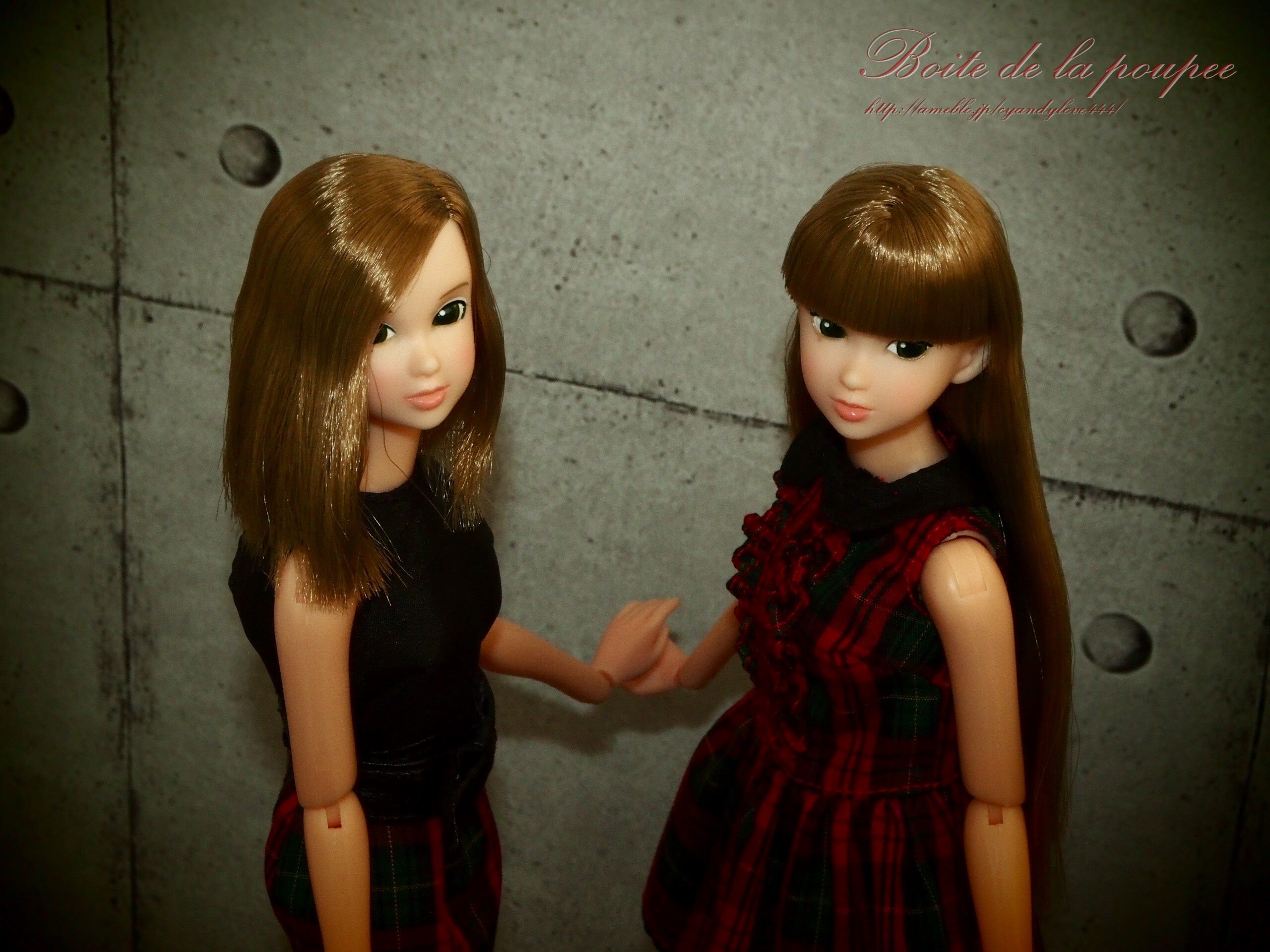 momoko Check It Out!/Big SisterLittle Sister～ | Boîte de la poupée