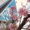 東京一年生(//∇//)の画像
