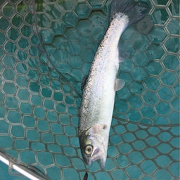 {8EB4FBA0-EFB3-495F-8356-8740695D75BC}