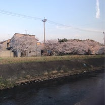 ブログ投稿画像