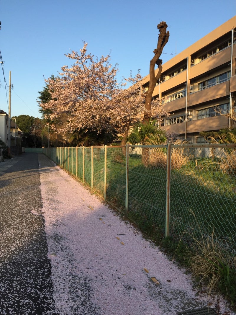 {ECCBCC8D-A945-4510-8356-BDF446754E62}