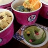 31 アイスクリームハントの画像