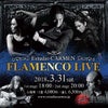 Flamenco liveの画像
