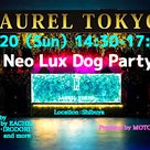 5/20（日）Neo Lux Dog★非日常空間ドッグパーティの記事より