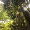 私に力をくれるモノの画像