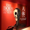 上野の国立科学博物館に「人体 -神秘への挑戦-」みに行ってきました‼️の画像
