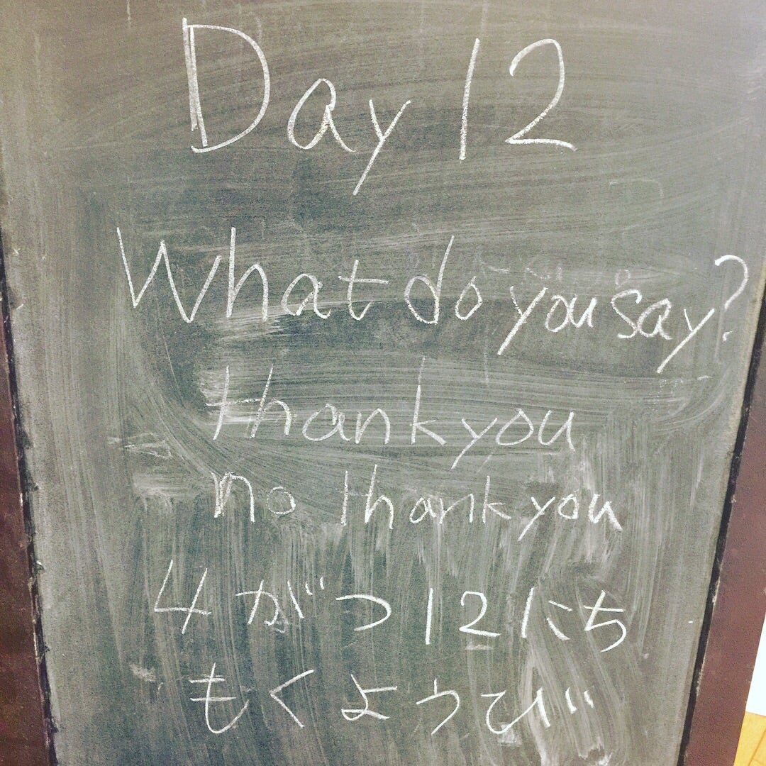 Day12 What Do You Want Thank You No Thank You Etoile Lab 親子