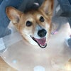 退院の画像