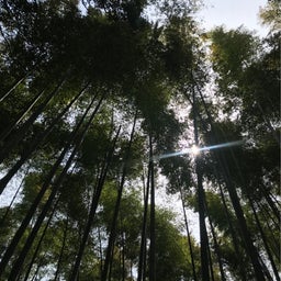 {C638614E-8F70-4F22-A19E-76702E17AE5A}