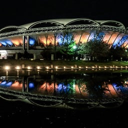 画像 昨日は恐竜の日 の記事より 4つ目