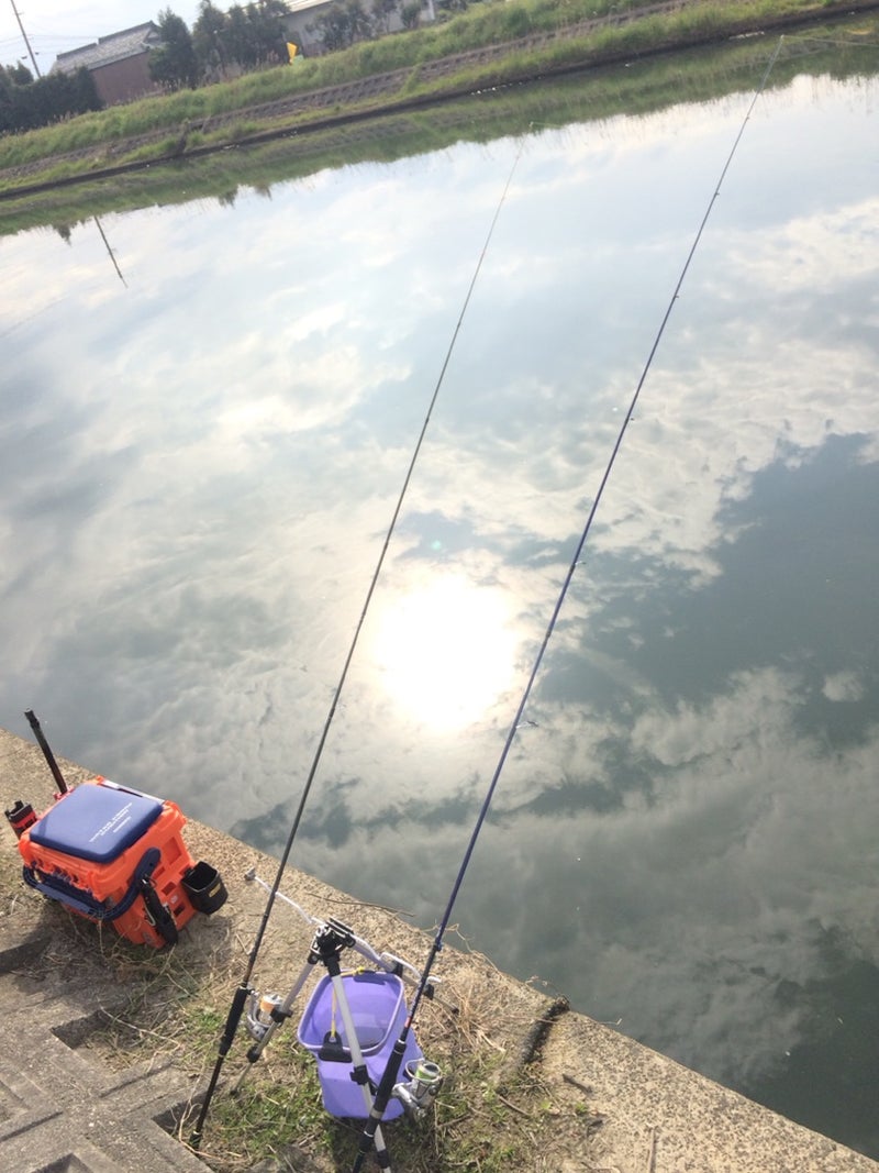 琵琶湖のホンモロコ釣り 墨人 ながけん のブログ