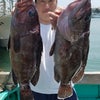 4月20日マハタ釣り専門仕立て結果速報の画像