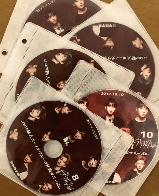 スキズ StrayKids サバイバル DVD １～10(完結)セット