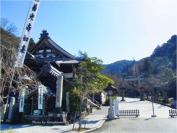 御朱印巡り 伊奈波神社 In 岐阜市 花桃の脱線ブログ