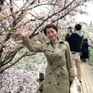 20182度めの京都旅【遅咲きの桜】の記事より
