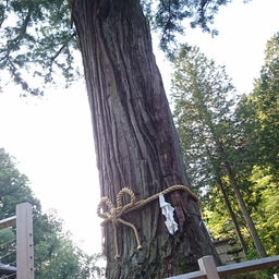 画像 蠍座満月の日に北口本宮富士浅間神社へ の記事より 4つ目