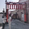 初めての 京都上七軒 北野をどり！その２の画像