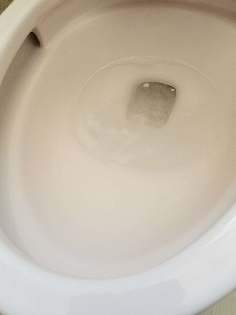 トイレ掃除(重曹☆クエン酸)&トイレブラシ捨てる&手放した数790 あるべきものをあるべきところに⭐手放し記録など