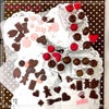 ♪ チョコレート！NHK文化センター名古屋教室 フェイクスイーツ クレイコース♪の画像