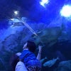 息子2歳3ヶ月・妊娠37週の画像