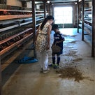 ワールド牧場〜太子温泉の記事より