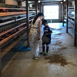 画像 ワールド牧場〜太子温泉 の記事より 22つ目