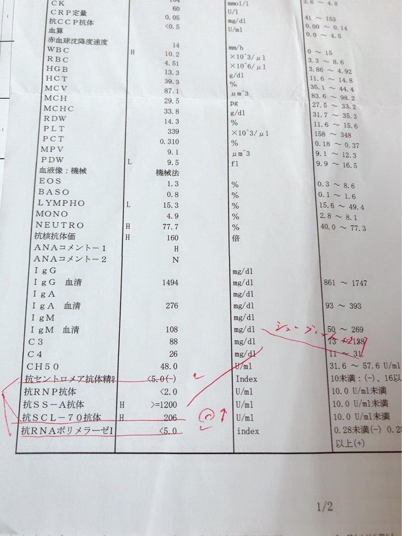 膠原 病 血液 検査 数値