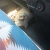 田舎で暮らすと言うこと。の画像
