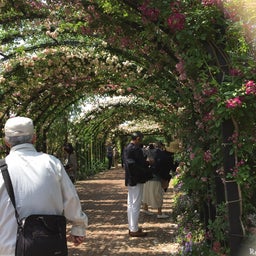 画像 横浜イングリッシュガーデンに行って来た の記事より 2つ目