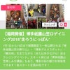 博多祇園山笠ロゲイニングの画像