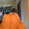 もう、捨てないでねの画像