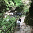 滝遊び！ 赤目四十八滝！の記事より