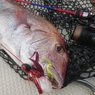 一人で近場探索への記事より